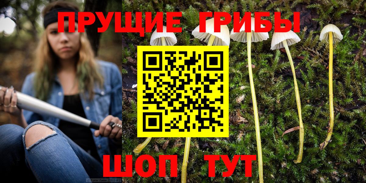 Белебей  Псилоцибиновые грибы MAGIC MUSHROOMS  Вход с VPN 